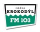 Rádio krokodýl.jpg